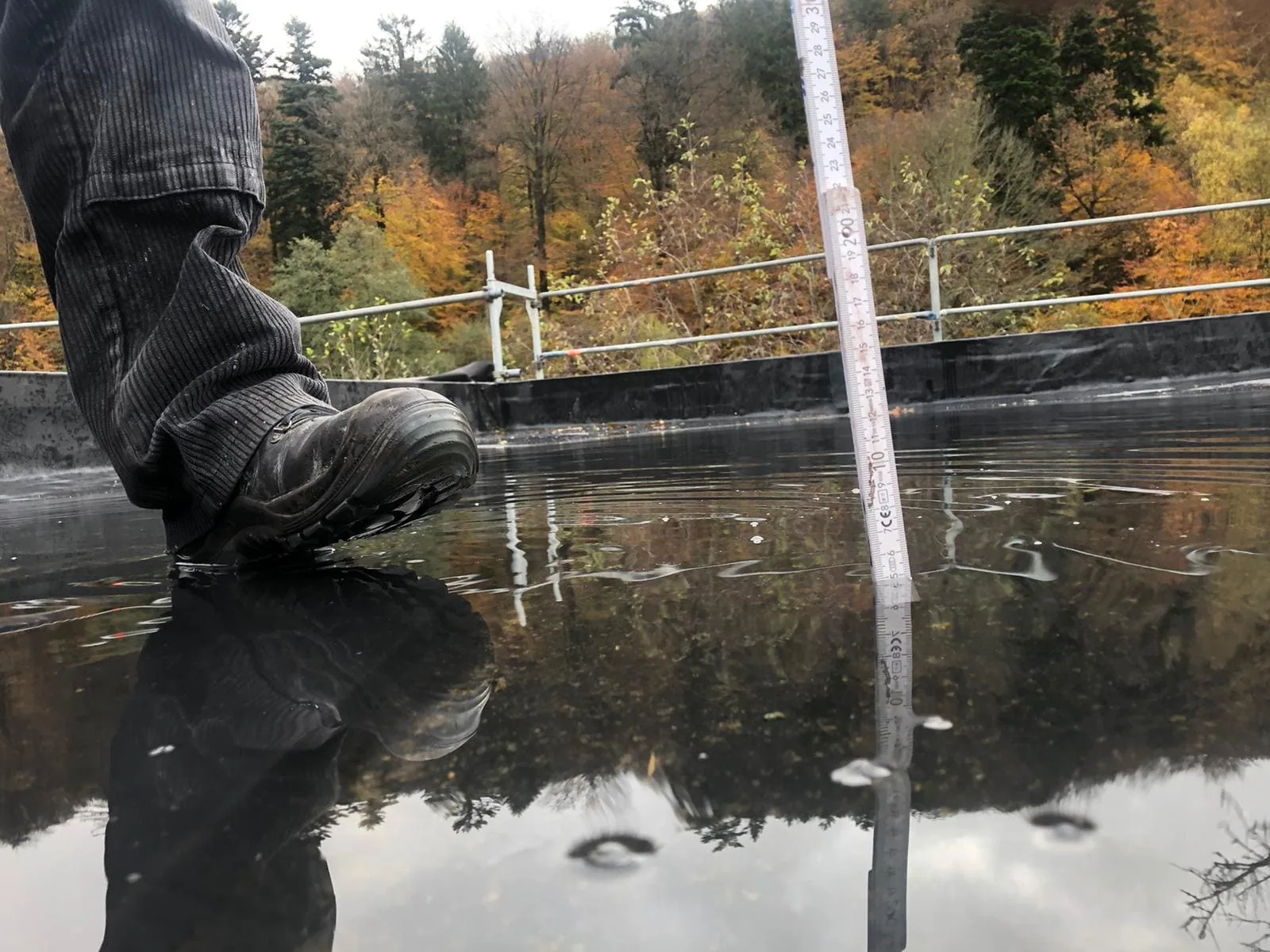 ponding-water review