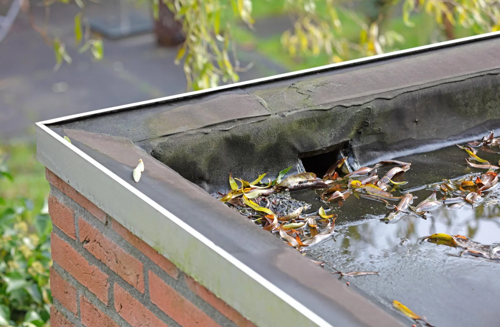 Commercial Roof Drain and Scupper Repair in Frisco, TX